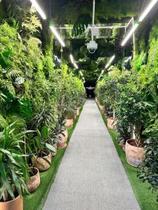 2BR Beachfront Batumi APT Luxury & Sea Views