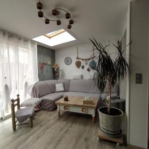 Maisons de vacances Maison entiere 5 chambres a 10mn a pied de l-entree principale du Circuit 24h Du Mans : photos des chambres