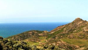 Maisons de vacances Villa Orane : photos des chambres