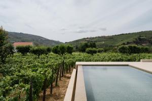 IMAGO Houses - Private Pool - Douro Valley - by MET