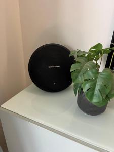 Tof en ruim appartement op 50 meter van strand!