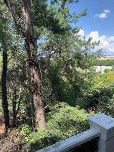 Loft con vista al lago