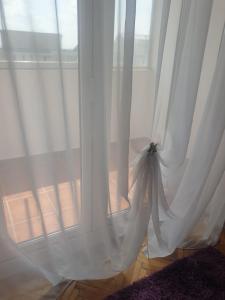 Pelican Proxi Apartment