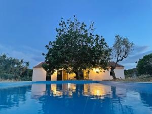 Tapada da Figueira by NaturAlegre