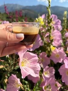 Village View Apartments