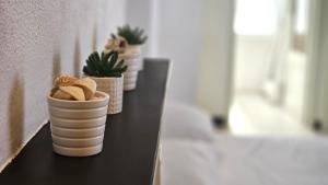 Al Ludomar, Cozy Flat and Free Park