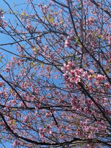 Hotel Philipp - Tradicional desde 1952
