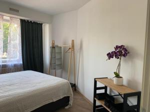 City Center Lux 2 bedroom 2 bathroom Apartment