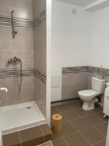 Appartements Appartement avec jardin sous les couverts : Appartement 1 Chambre