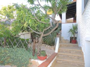 Appartamento Mariolu 3 img40