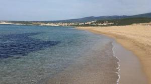 Il Balenottero img31