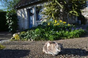 Maisons de vacances Gite de charme proche du Zoo Beauval et Chateaux : photos des chambres