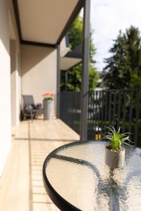 Apartamentai Šilutė