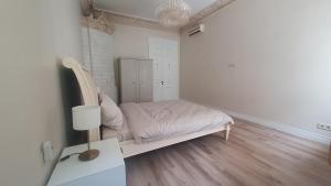 Large, new apartment in the historic centre