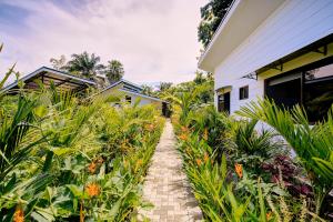 Casa violeta modern villa pool steps from the beach