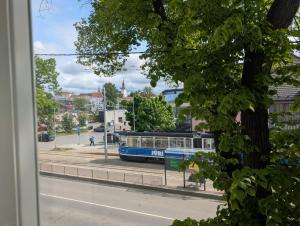 Kalamaja apartment with old town view!