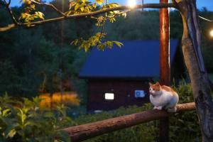 Osada Krasne - Noclegi Blisko Natury