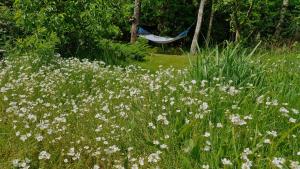 Domek nad Jeziorem Lewinko Kaszuby