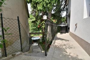 Apartment Bela