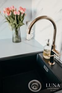 LUNA Apartment Hanza Tower Szczecin - Basen, Sauna & Spa