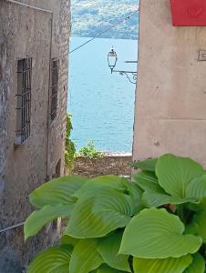tower house in a medieval village