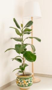 Il Pesciolino I Firenze