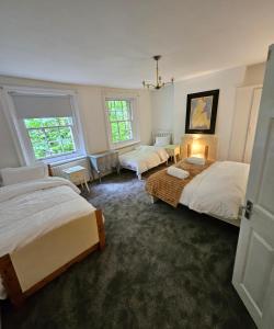 Waterloo, Haru Residence can sleep up to 8ppl