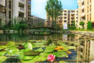 Cascadas Family Resort apartment pool view