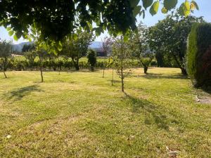 Pazo Carballo Hotel