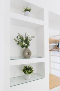 Palazzo Diana Apartment