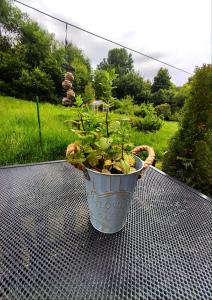 apartmán U JANY Lipno nad Vltavou Lipenská louka