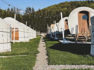 Glamping Iurte Mongole Spiritul Zimbrului