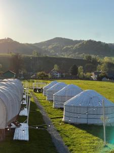 Glamping Iurte Mongole Spiritul Zimbrului