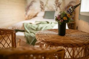 Dzika Warmia- Retreat in the Wild