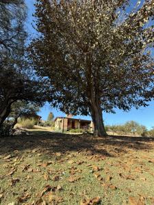 cabaña en bloke 1 dormitorio