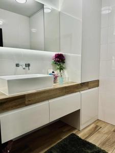 Apartament Zielony Stół no 2 z wanna w pokoju