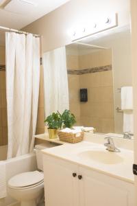 Cozy Calgary Hideaway