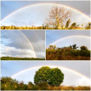 Maisons de vacances Hon Ti Bihan : photos des chambres