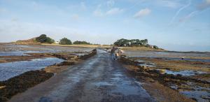 Maisons de vacances Hon Ti Bihan : photos des chambres