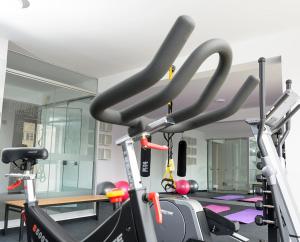 Misti Valle Blanco 503