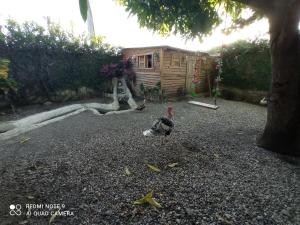 Paraíso Hortensia Honeymoon Suite