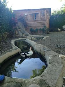Paraíso Hortensia Honeymoon Suite