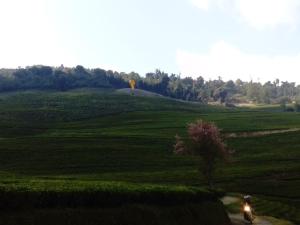 Above The Clouds Restro & Inn