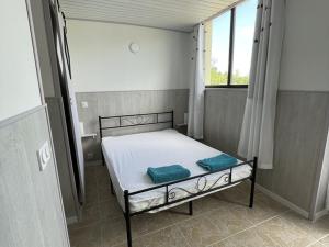 Appartements Appartement spacieux a Esparron pour 10 avec piscine - FR-1-822-20 : photos des chambres