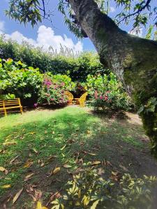 Paraiso Hortensia Ecolodge