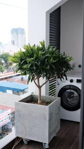 Miami Luxury Apartment Hai Phong