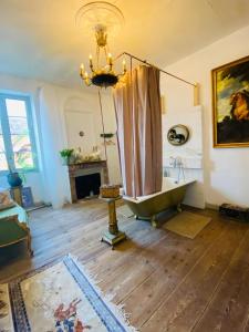 B&B / Chambres d'hotes Chateau Ciers : photos des chambres