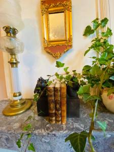 B&B / Chambres d'hotes Chateau Ciers : photos des chambres