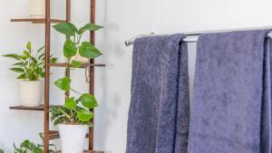 Coopers Lodge, Lovedale - A rural escape in the heart of wine country