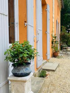 B&B / Chambres d'hotes Chateau Ciers : photos des chambres